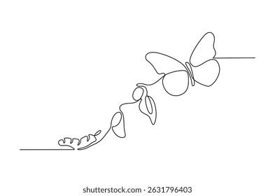Continuous one line drawing of Butterfly life cycle. Single line drawing illustration of Growth Butterfly. Perfect metamorphosis concept vector art. Line vector illustration.