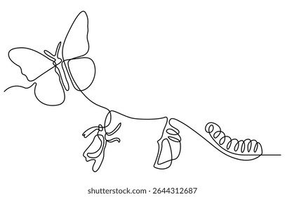 Continuous one line drawing of butterfly life cycle. One line drawing illustration of butterfly metamorphosis. Butterfly transformation concept continuous line art. Editable outline.