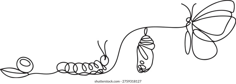 Continuous one line drawing of butterfly life cycle . Single line drawing illustration of perfect metamorphosis . Butterfly transformation concept. one line Icon drawing

