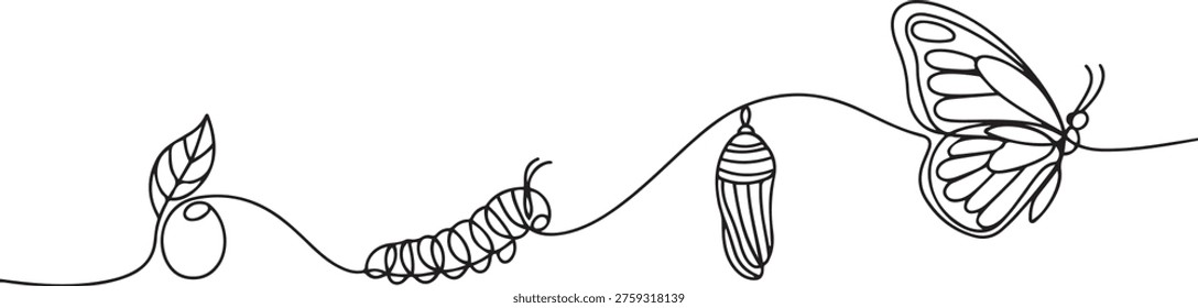 Continuous one line drawing of butterfly life cycle . Single line drawing illustration of perfect metamorphosis . Butterfly transformation concept. one line Icon drawing
