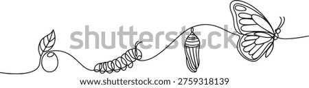 Continuous one line drawing of butterfly life cycle . Single line drawing illustration of perfect metamorphosis . Butterfly transformation concept. one line Icon drawing
