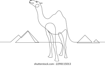 Continuous one line drawing camel walking in the desert with pyramids in the background. Single line draw design vector graphic illustration.