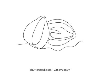 Continuous one line drawing candlenut. Vegetable concept. Single line draw design vector graphic illustration.