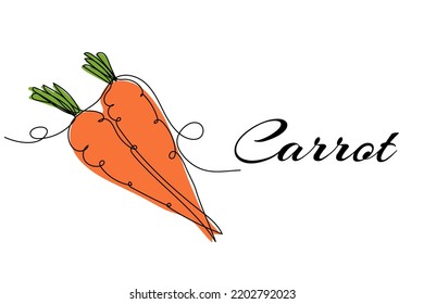 Continuous one line drawing of carrot. Vector illustration on isolated background.