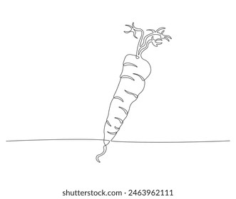 Continuous one line drawing of carrot vegetable. One line drawing illustration of growing carrot plant. Vegetable growing concept continuous line art. Editable outline.