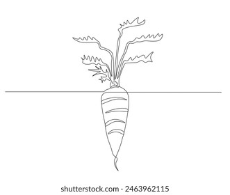 Continuous one line drawing of carrot vegetable. One line drawing illustration of growing carrot plant. Vegetable growing concept continuous line art. Editable outline.