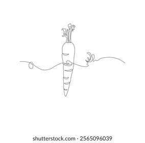 Continuous one line drawing of carrot vegetable. One line drawing vector illustration of carrot plant. Editable outline.