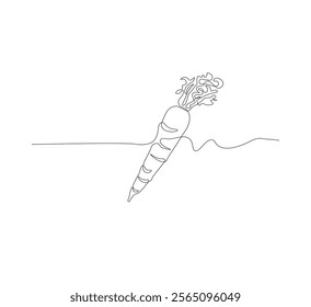 Continuous one line drawing of carrot vegetable. One line drawing vector illustration of carrot plant. Editable outline.