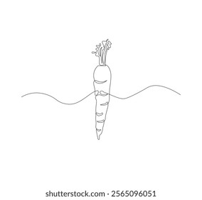 Continuous one line drawing of carrot vegetable. One line drawing vector illustration of carrot plant. Editable outline.