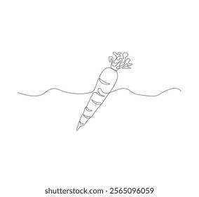 Continuous one line drawing of carrot vegetable. One line drawing vector illustration of carrot plant. Editable outline.