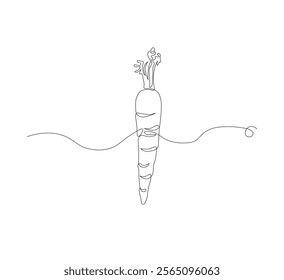 Continuous one line drawing of carrot vegetable. One line drawing vector illustration of carrot plant. Editable outline.