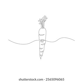 Continuous one line drawing of carrot vegetable. One line drawing vector illustration of carrot plant. Editable outline.