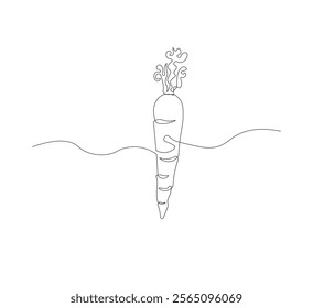 Continuous one line drawing of carrot vegetable. One line drawing vector illustration of carrot plant. Editable outline.