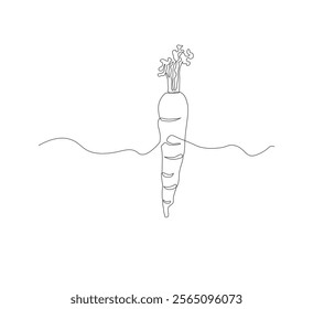 Continuous one line drawing of carrot vegetable. One line drawing vector illustration of carrot plant. Editable outline.