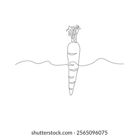 Continuous one line drawing of carrot vegetable. One line drawing vector illustration of carrot plant. Editable outline.