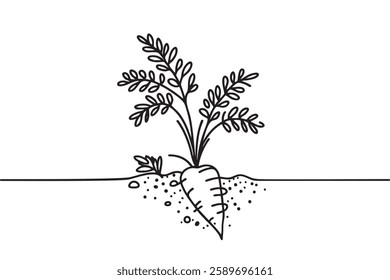 Continuous one line drawing of carrot, vegetable. One line drawing of growing carrot plant illustration. Vegetable growing concept, vector illustration