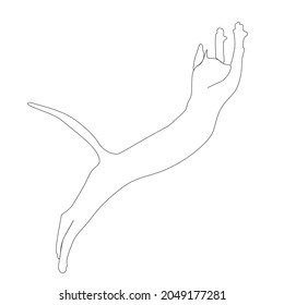 Continuous one line drawing of cat silhouette. Cute kitten jumping high in the air in abstract hand drawn style. Simple and minimalistic animal doodle vector illustration art.