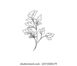 Continuous one line drawing of celery leaves. Celery simple outline vector illustration. Editable stroke.