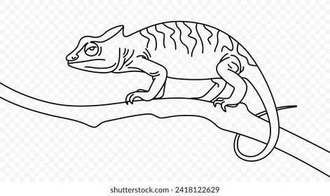 Continuous one line drawing of chameleon crawling along a tree branch vector design. Single line art illustration cute lizard on transparent background
