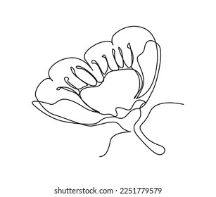 Continuous one line drawing of cherry blossom. Simple flower blossom line art vector illustration.