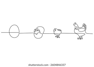 Continuous one line drawing of Chicken life cycle. Single line drawing illustration of Chicken Growth from egg. Chicken concept vector art. Doodle line illustration.