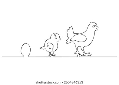 Continuous one line drawing of Chicken life cycle. Single line drawing illustration of Chicken Growth from egg. Chicken concept vector art. Doodle line illustration.