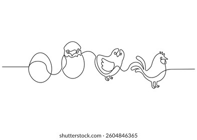 Continuous one line drawing of Chicken life cycle. Single line drawing illustration of Chicken Growth from egg. Chicken concept vector art. Doodle line illustration.