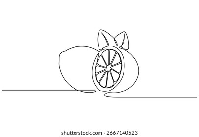 Continuous one line drawing of Citrus fruits vector illustration. Editable outline