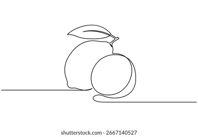 Continuous one line drawing of Citrus fruits vector illustration. Editable outline