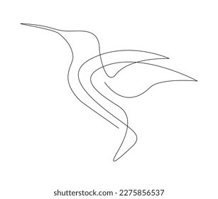 Continuous one line drawing of collibri. Humming bird. Abstract flying bird outline vector illustration. 