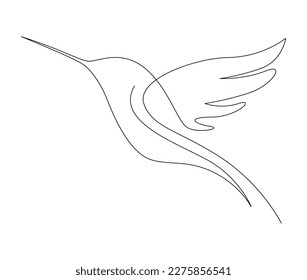 Continuous one line drawing of collibri. Humming bird. Abstract flying bird outline vector illustration. 