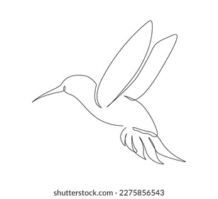 Continuous one line drawing of collibri. Humming bird. Abstract flying bird outline vector illustration. 