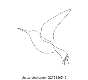 Continuous one line drawing of collibri. Humming bird, abstract flying bird outline vector illustration. 