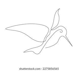 Continuous one line drawing of collibri. Simple humming bird outline vector illustration. 