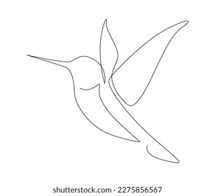 Continuous one line drawing of collibri. Humming bird. Abstract flying bird outline vector illustration. 