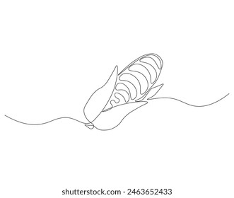 Continuous one line drawing of corn crop for farm. One line drawing illustration of corn from agriculture. fresh maize concept continuous line art. Editable outline.
