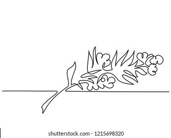 Continuous one line drawing. Cosmetic aromatherapy plant and flowers. Vector illustration