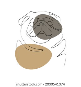 Continuous one line drawing with cute pug. Contemporary vector illustration on white background. Black line art on white background with colorful spots.