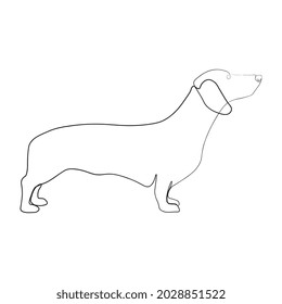 Continuous one line drawing with dachshund. Contemporary vector illustration on white background. Black line art on white background.