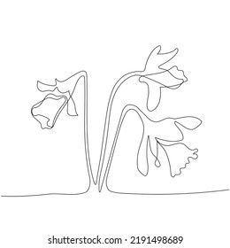 Continuous one line drawing of daffodil flowers. Vector illustration on isolated background.