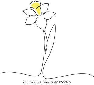 Continuous one line drawing of daffodil flowers. Vector illustration.