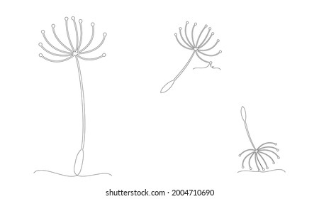 Continuous one line drawing of dandelion. Minimalism drawing of phrase illustration