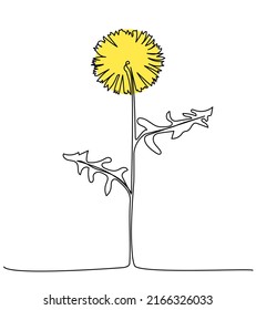 Continuous one line drawing dandelion. Vector illustration on isolated background