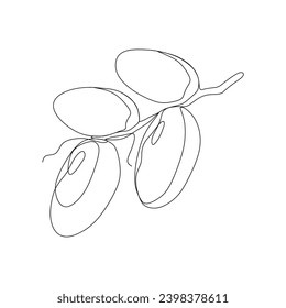 Dibujo continuo de una línea de dátiles con fruto de palma. Ilustración de vectores para el concepto de alimentación y naturaleza