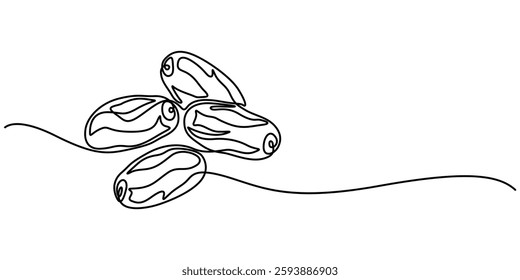 Continuous one line drawing of dates palm fruit. Vector illustration, Continuous line design of man riding date palm. Arabic dry fruit design concept. Decorative elements drawn on a white background.