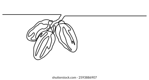 Continuous one line drawing of dates palm fruit. Vector illustration, Continuous line design of man riding date palm. Arabic dry fruit design concept. Decorative elements drawn on a white background.