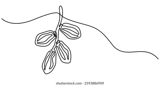 Continuous one line drawing of dates palm fruit. Vector illustration, Continuous line design of man riding date palm. Arabic dry fruit design concept. Decorative elements drawn on a white background.