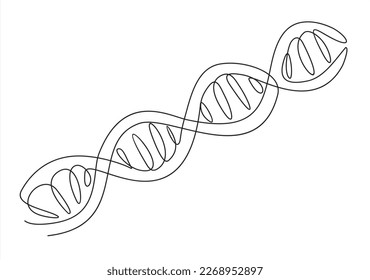 Dibujo continuo de una línea de ADN
