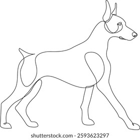 Continuous one line drawing of Doberman dog walking, side view. Doberman pinscher hand drawn single line design. Minimalist art style vector illustration, editable stroke.
