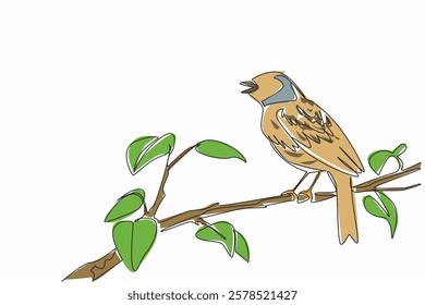 Continuous one line drawing dunnock bird perched on tree branch with leaves. Landed and chirped. The little one from Europe. International Dawn Chorus Day. Single line draw design vector illustration